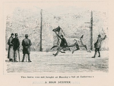 Un grand marcheur - ce cheval n