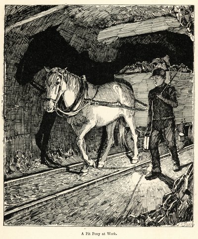 Un poney de mine au travail (gravure) - English School
