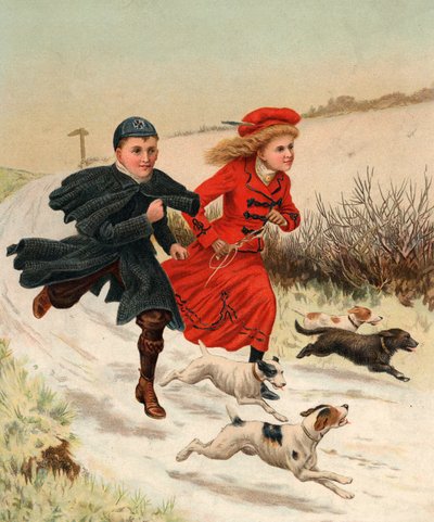 Une course avec les chiens - English School