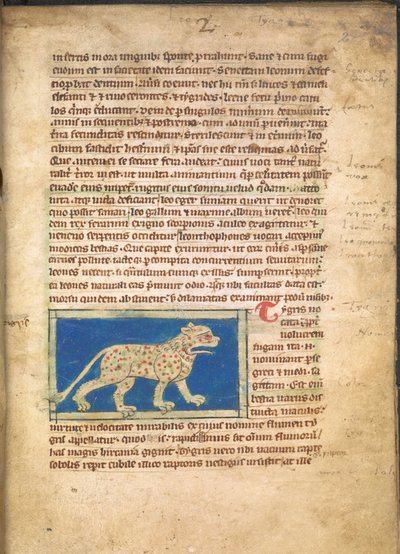 Un tigre, de Sloane 3544, f.2 - English School