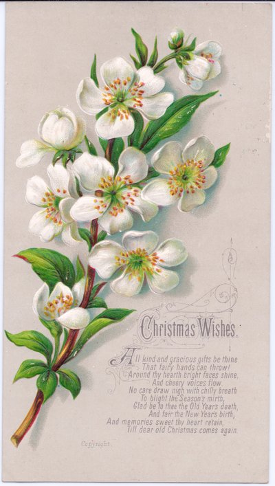 Carte de Noël victorienne avec un bouquet de roses de Noël et un vers, vers 1880 - English School