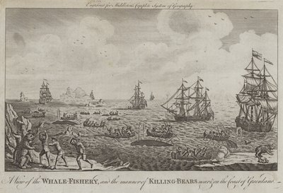 Vue de la pêche à la baleine et de la manière de tuer les ours près et sur la côte du Groenland - English School