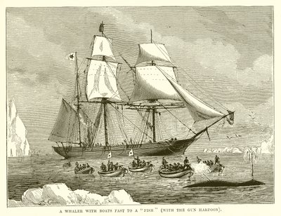 Un baleinier avec des bateaux attachés à un poisson (avec le harpon à canon) - English School