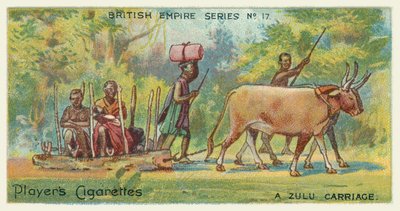 Un chariot zoulou - English School