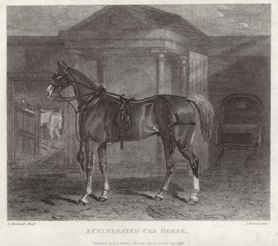 Un cheval de fiacre célèbre - English School