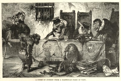 Un tribunal de justice du point de vue darwinien - English School