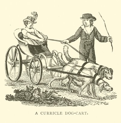 Un dog-cart à deux roues - English School