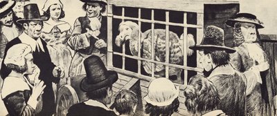 Un dodo exposé en Angleterre au XVIIe siècle - English School