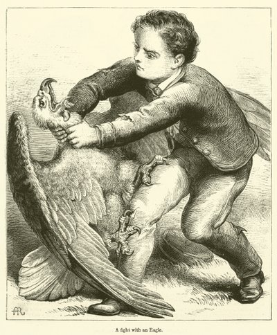 Un combat avec un aigle (gravure) - English School