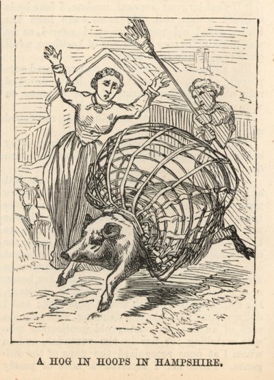 Un cochon en cerceaux dans le Hampshire - English School