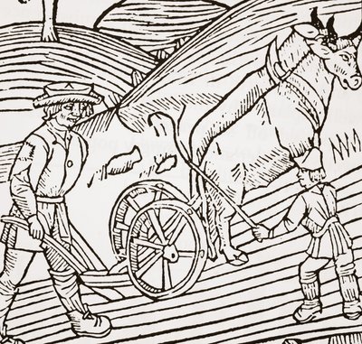 Une paire de bœufs attelés à une charrue, page de titre du Boke of Husbandry de John Fitzherbert, première publication 1523 - English School