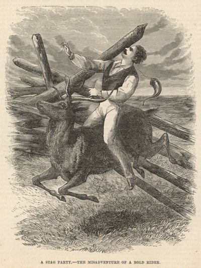 Une fête de cerf, les mésaventures d