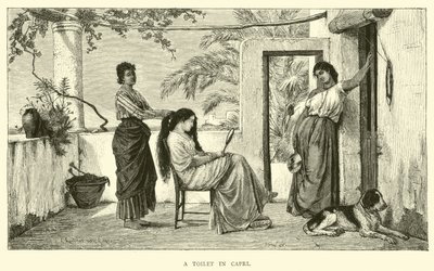 Une toilette à Capri - English School