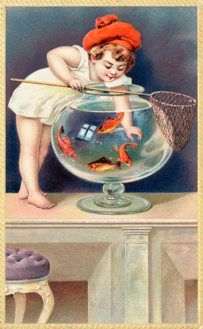 Un jeune enfant avec un filet de pêche atteint un bocal à poissons rouges - English School