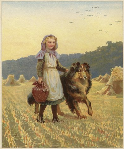 Une jeune fille debout dans un champ avec sa main sur son chien colley - English School