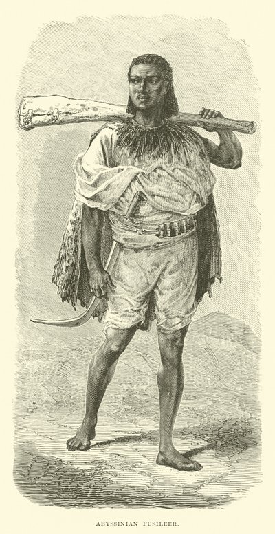 Fusilier abyssinien - English School