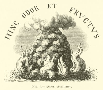 Académie Accesi - English School