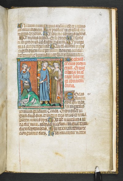 Aristote pointant des oiseaux apportés au roi, de Secretum Secretorum, c.1326-27 (vélin) - English School