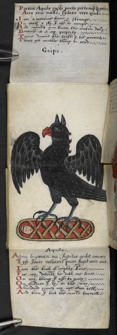Livre de chasse - English School
