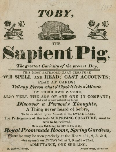 Publicité pour Toby le Cochon Savant, la plus grande curiosité du moment - English School