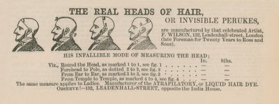 Publicité pour des perruques - English School
