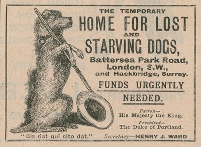 Publicité pour le refuge pour chiens de Battersea - English School