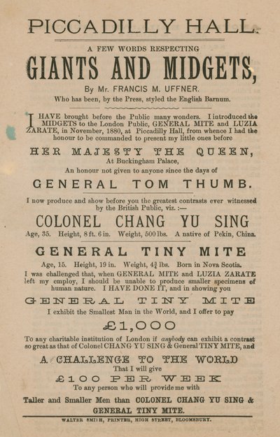 Publicité pour les géants et les nains - English School