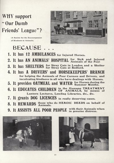 Publicité pour la Ligue de Nos Amis Muets - English School