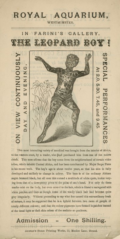 Publicité pour Le Garçon Léopard - English School