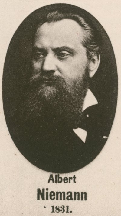 Albert Niemann - English School