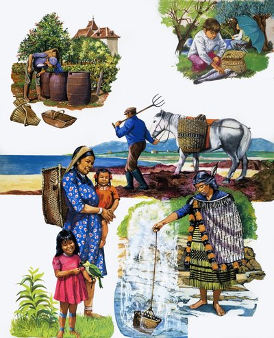 Toutes sortes de paniers - English School