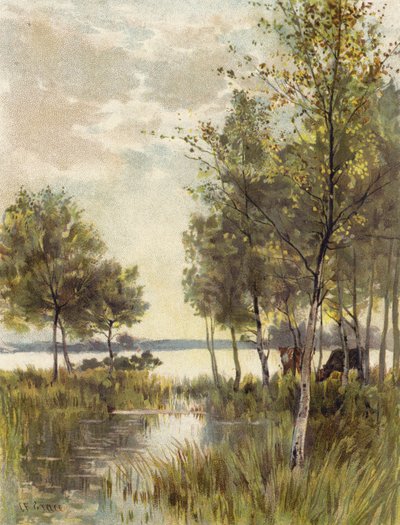 Un soir d