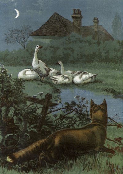 Une manœuvre d
