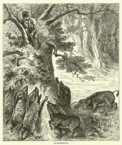 Une situation délicate (gravure) - English School