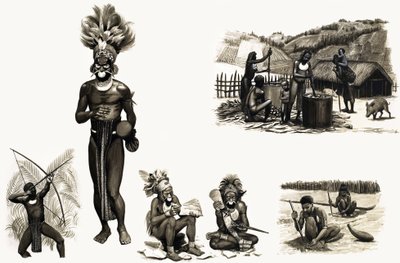 Peuples anciens du monde : Tribus montagnardes de Nouvelle-Guinée -- Les plumes d