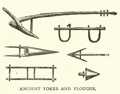 Anciennes jougs et charrues - English School