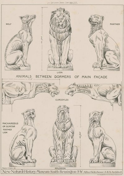 Animaux entre les lucarnes de la façade principale du nouveau musée d