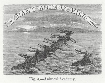 Académie Animosi (gravure) - English School