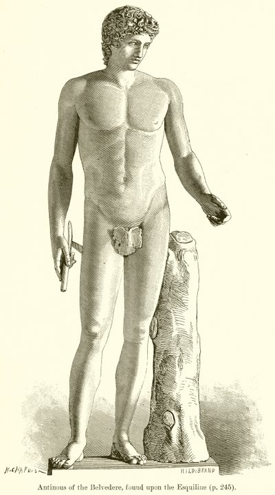 Antinoüs du Belvédère, trouvé sur l