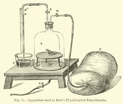 Appareils utilisés dans les expériences physiologiques de Bert - English School