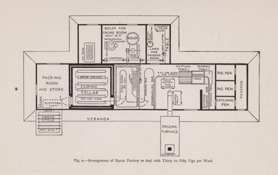 Organisation d