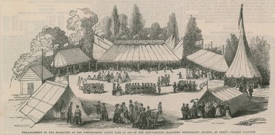 Disposition des chapiteaux - English School