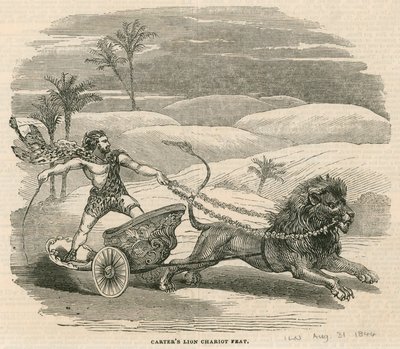 Amphithéâtre d
