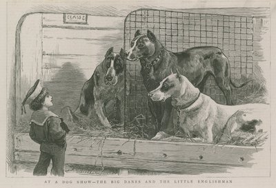 À une exposition canine - les Grands Danois et le petit Anglais - English School