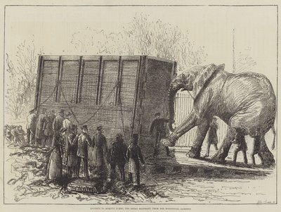 Tentative de déplacer Jumbo, le grand éléphant, du zoo (lithographie) - English School