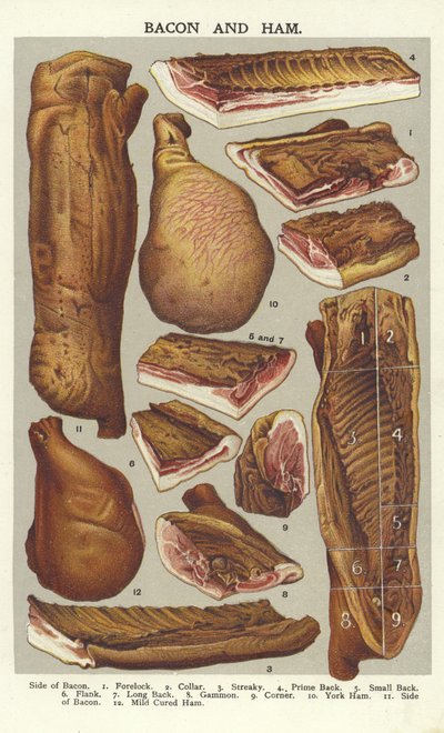 Bacon et jambon - English School