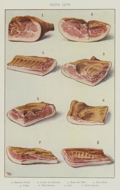 Tranches de bacon - English School