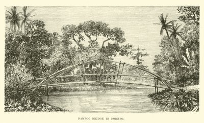 Pont en bambou à Bornéo - English School