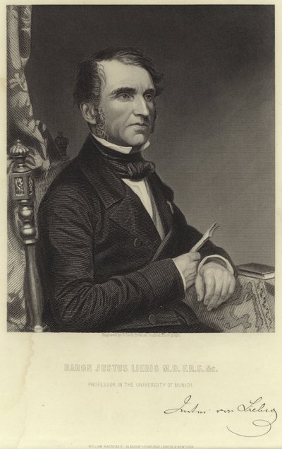Baron Justus Liebig - English School