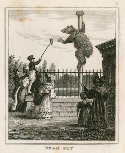 Fosse aux ours, jardins zoologiques de Londres, Regents Park - English School